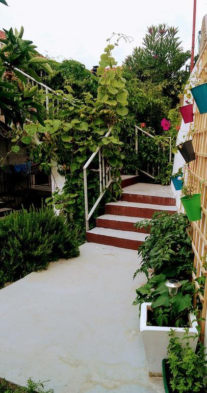 Sofia'S Way Apartments Jelsa  Dış mekan fotoğraf